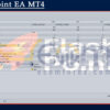 FlashPoint EA MT4 Input