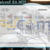 Forex FalconF EA MT5 Backtests