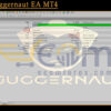Forex Juggernaut EA MT4 Backtest