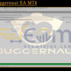 Forex Juggernaut EA MT4 Input
