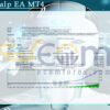Funt Scalp EA MT4 Backtest