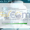Funt Scalp EA MT4 Backtests Result