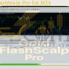 Gold FlashScalp Pro EA MT4 Setting