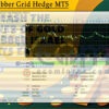 Gold Grabber Grid Hedge MT5 Backtest