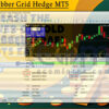 Gold Grabber Grid Hedge MT5 Backtests