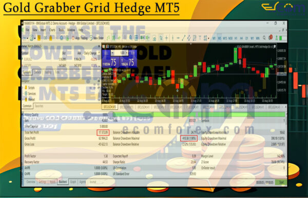 Gold Grabber Grid Hedge MT5 Backtests