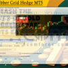 Gold Grabber Grid Hedge MT5 Setting