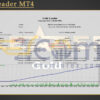 Gold Leader MT4 Backtests