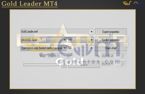 Gold Leader MT4 Input