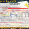 Gold SWmax EA 4 MT4 Backtests Result
