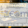 GoldenhuntMS EA MT4 Backtests