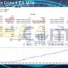 Investmen Guru 4 EA MT4 Backtest Result