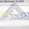 Jobot Basic Martingale EA MT4 Backtest