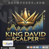 King David RSI expert MT4 Logo