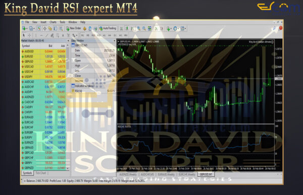 King David RSI expert MT4 Review