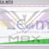 MaXfx EA MT4 Backtest