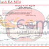 Magic Flash EA MT4 Backtest