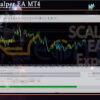 Magic Scalper EA MT4 Setting