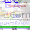 MagicSignals EA MT4 Backtests