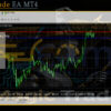MagicTrade EA MT4 Backtest