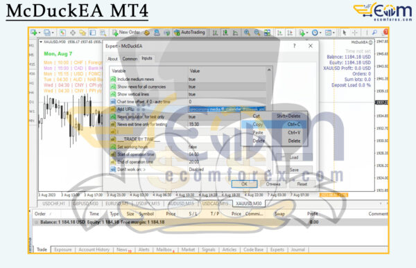 McDuckEA MT4 Input