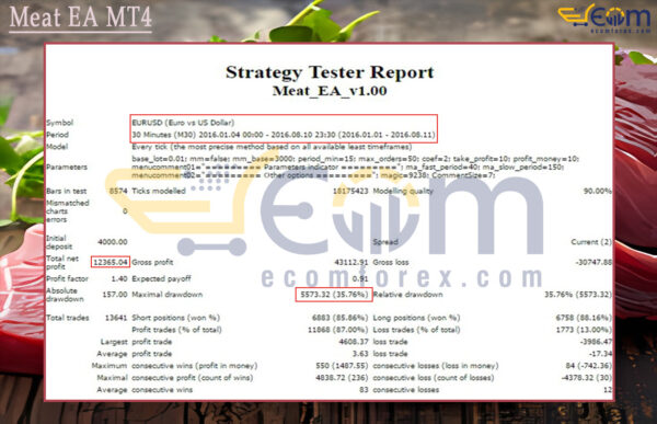 Meat EA MT4 Backtests Result