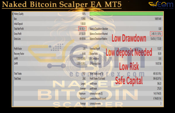 Naked Bitcoin Scalper EA MT5 Backtest
