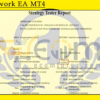 Neuralwork EA MT4 Backtest