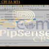 PipSense CBS EA MT4 Input