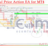 Powerful Price Action EA for MT4 Backtests Result