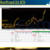 RippleBullRunWizard EA MT4 Backtest
