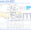 SFE Impulse EA MT5 Live Result