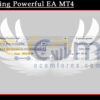 Something Powerful EA MT4 Input