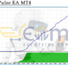 Stable Pulse EA MT4 Backtests