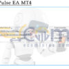 Stable Pulse EA MT4 Input