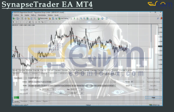 SynapseTrader EA MT4 Setting