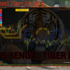 TPS Bengal Tiger EA MT4 Review
