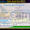 Team Trading Eur Aud EA MT4 Backtests