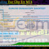 Team Trading Eur Gbp EA MT4 Backtests