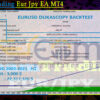 Team Trading Eur Jpy EA MT4 Backtests