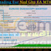 Team Trading Eur Nzd Gbp EA MT4 Backtests Result