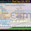 Team Trading Eur Nzd Jpy EA MT4 Backtests Result