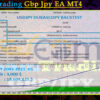 Team Trading Gbp Jpy EA MT4 Backtests