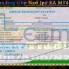 Team Trading Gbp Nzd Jpy EA MT4 Backtest