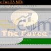 The Force Two EA MT4 Backtest