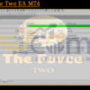 The Force Two EA MT4 Backtests