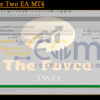 The Force Two EA MT4 Input
