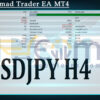 The Nomad Trader EA MT4 Backtests Result