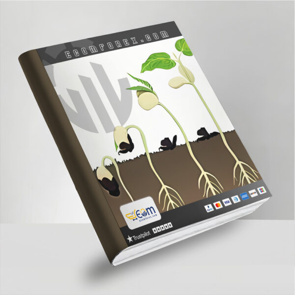 The seed of a big tree EA MT4