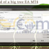 The seed of a big tree EA MT4 Input